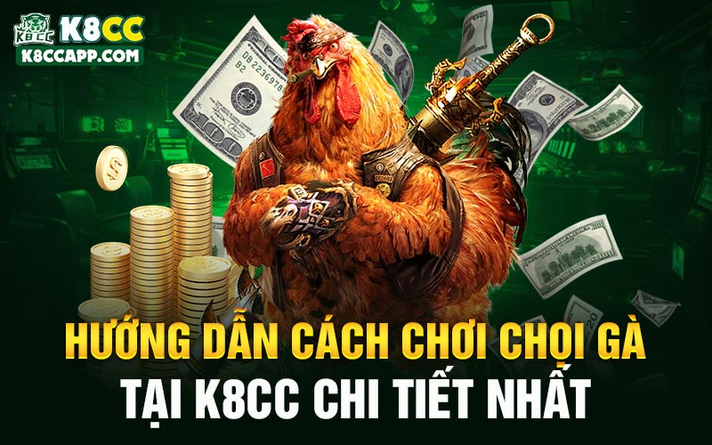 Hướng dẫn cách chơi chọi gà tại K8cc chi tiết nhất