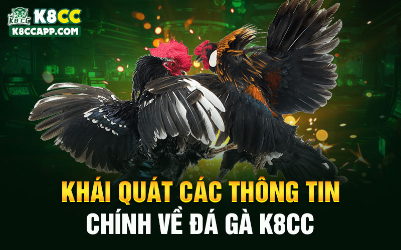 Khái quát các thông tin chính về đá gà K8cc