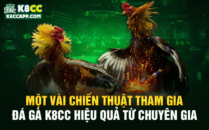 Một vài chiến thuật tham gia đá gà K8cc hiệu quả từ chuyên gia