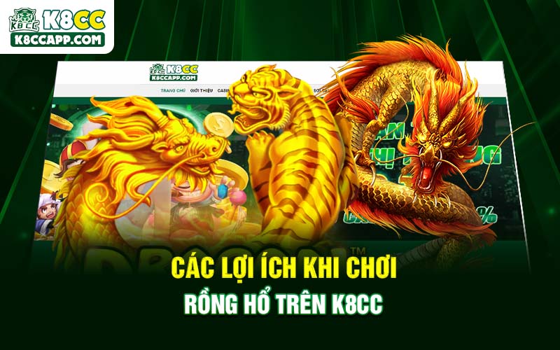 Các lợi ích khi chơi Rồng Hổ trên K8cc