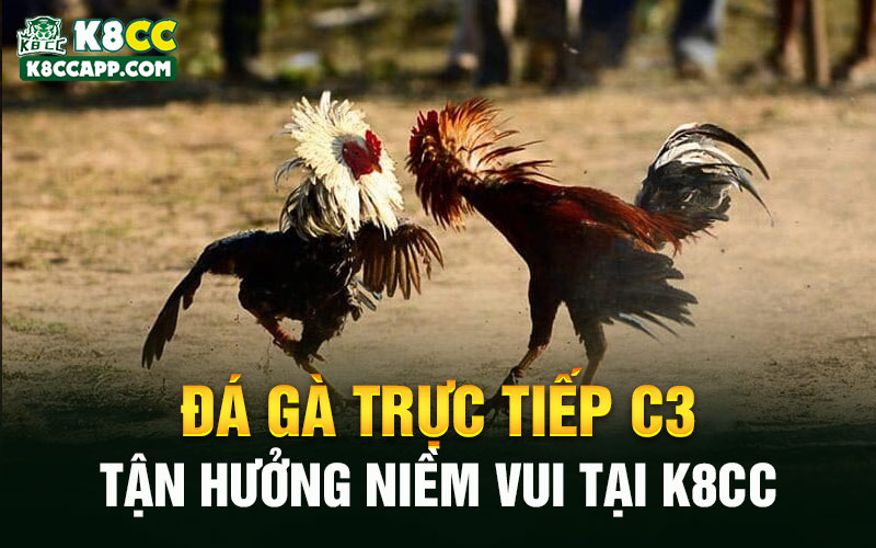 Đá Gà Trực Tiếp C3 - Tận Hưởng Niềm Vui Tại K8cc