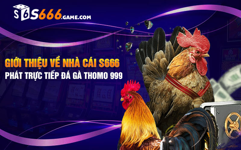 Giới thiệu về nhà cái S666 phát trực tiếp đá gà thomo 999