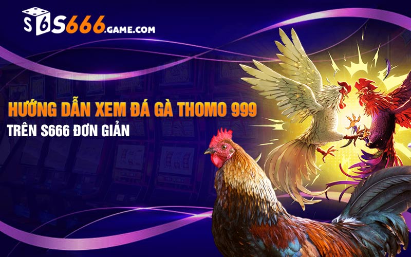 Hướng dẫn xem đá gà thomo 999 trên S666 đơn giản