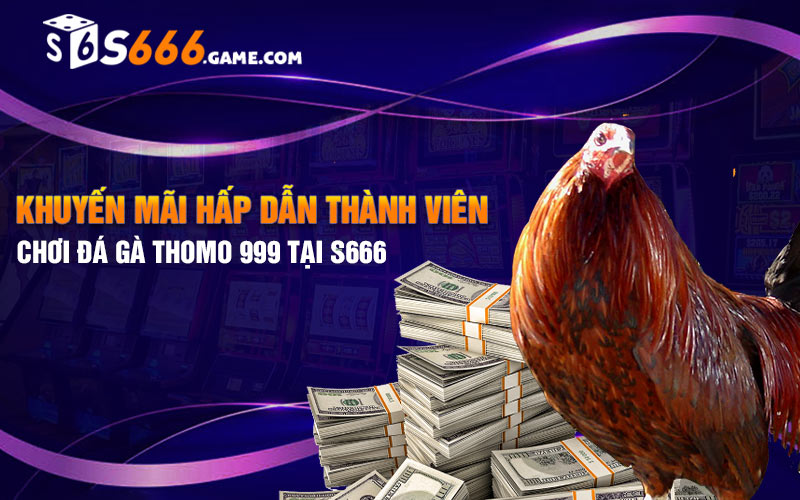 Khuyến mãi hấp dẫn thành viên chơi đá gà thomo 999 tại S666