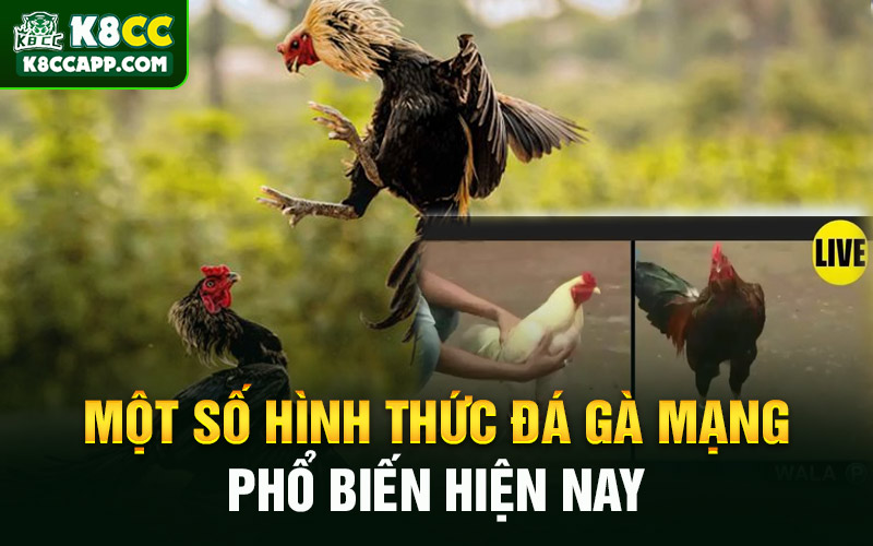 Một số hình thức đá gà mạng phổ biến hiện nay