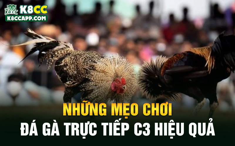 Những mẹo chơi đá gà trực tiếp C3 hiệu quả