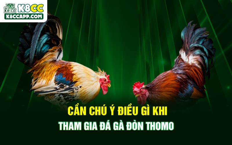 Cần chú ý điều gì khi tham gia đá gà đòn Thomo