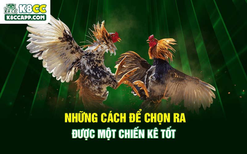 Những cách để chọn ra được một chiến kê tốt