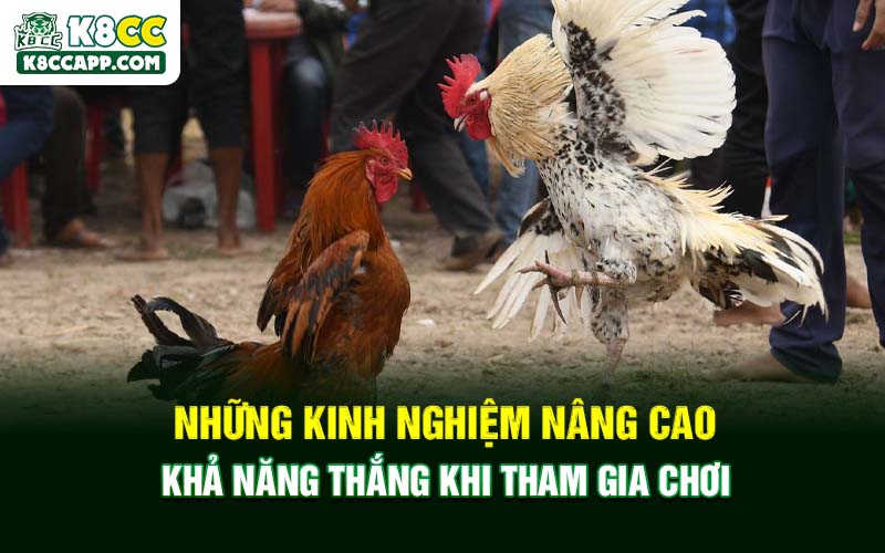 Những kinh nghiệm nâng cao khả năng thắng khi tham gia chơi
