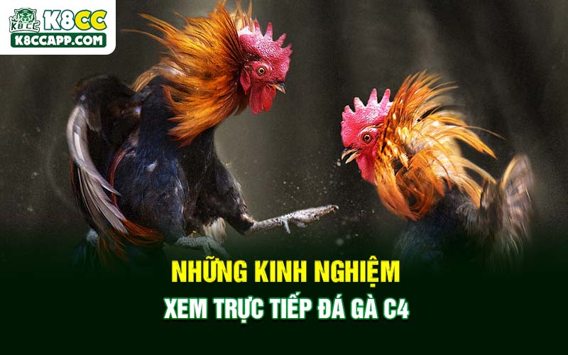 Những kinh nghiệm xem trực tiếp đá gà C4